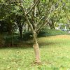 Imagen en miniatura del producto 2 de 7