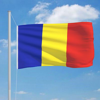 vidaXL Bandera de Rumanía y mástil de aluminio 6,2 m