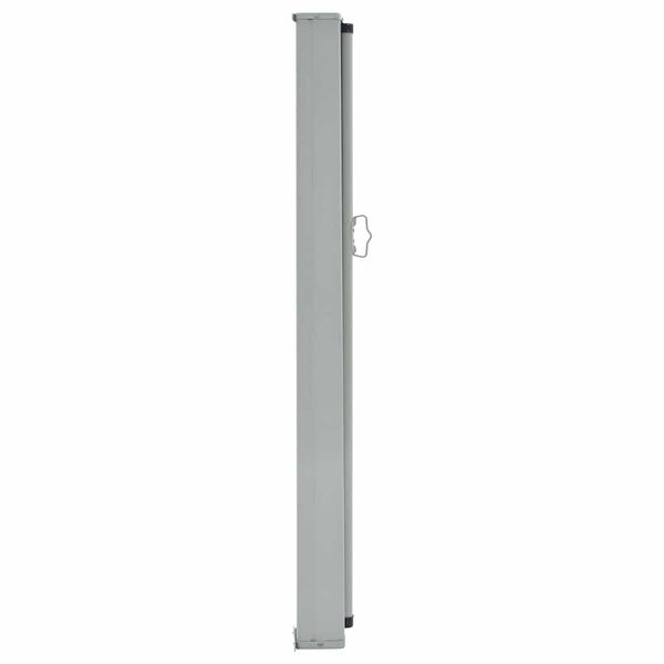 vidaXL Toldo lateral retr&aacute;ctil para patio 100x300 cm gris
