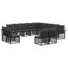 vidaXL Conjunto de sof&aacute;s de exterior 13 uds. Negro y Gris oscuro