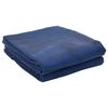 vidaXL Alfombra para tienda Azul 500 x 350 cm Poli&eacute;ster