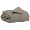 vidaXL Edred&oacute;n de Verano 220 x 135 cm Verano 200 gsm Gris Claro