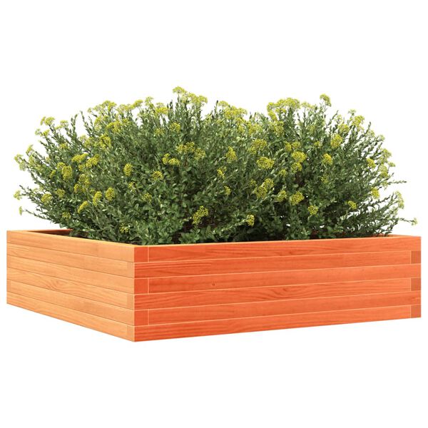 vidaXL Jardinera de madera maciza pino marr&oacute;n cera 90x90x23 cm