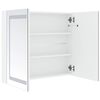 vidaXL Mueble de baño con espejo LED 80x12,2x68 cm