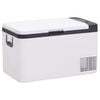 vidaXL Nevera con asa PP y PE negro y blanco 25 L
