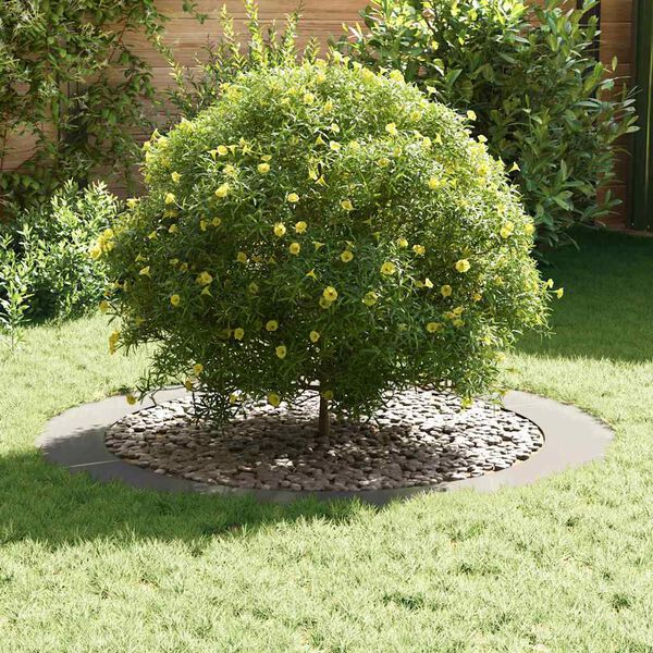 vidaXL adecuado para Anillo de &Aacute;rbol Plano Plateado &Oslash;90 / 120 cm