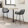 vidaXL Silla de Bar 2 pcs Negro 55 x 52 x 92 cm Ratan e Hierro