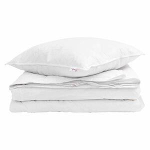 vidaXL Duvet 2 en 1 con almohada 2 pcs Pluma de pato