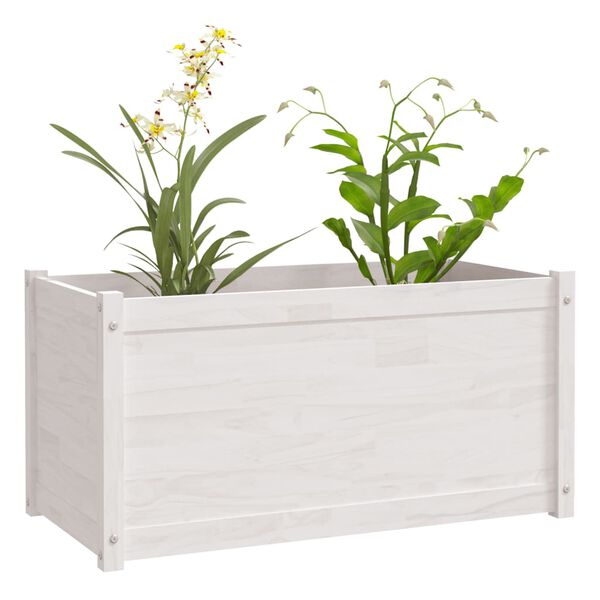 vidaXL Jardineras de madera maciza de pino blanco 2 uds 100x50x50 cm
