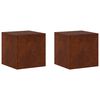 vidaXL Soporte de plantas 2 pcs Oxidado 40 x 40 x 40 cm Acero oxidado