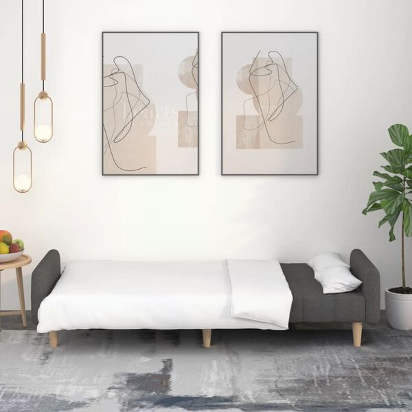 vidaXL Sof&aacute; cama de 2 plazas tela gris oscuro