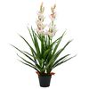 vidaXL Planta artificial orquídea con macetero 100 cm verde