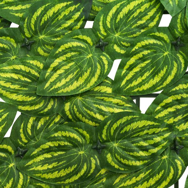 Mostrando imagen del producto 4 de 6