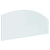 vidaXL Placa de vidrio para chimenea Transparente 120 x 50 cm Cristal