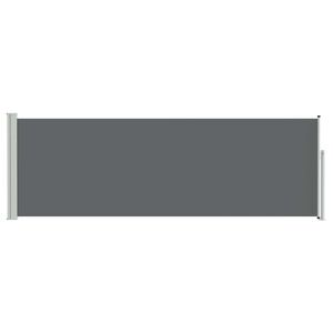 vidaXL Toldo lateral retr&aacute;ctil Gris antracita 300 x 100 cm Poli&eacute;ster