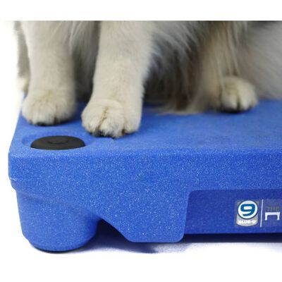 BLUE-9 Patas de seguridad para sistema entreno de perros KLIMB 4 uds