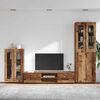 vidaXL Conjunto de mueble de TV con caj&oacute;n FLORIN Madera vieja