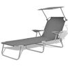 vidaXL Tumbona con toldo de acero gris