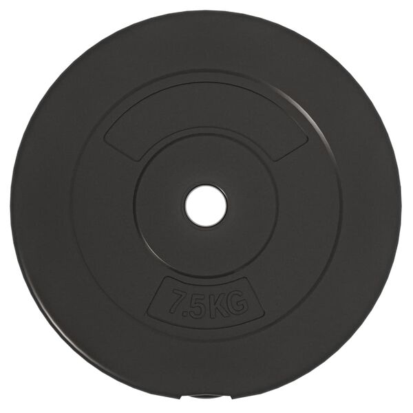 vidaXL Discos de pesas 6 piezas cemento 30 kg