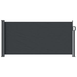vidaXL Toldo lateral retr&aacute;ctil 300 x 100 cm Poli&eacute;ster Rectangular