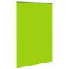 vidaXL Estor Enrollable Opaco hojas verde 165x230cm Tela Ancho 161,6cm
