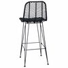 vidaXL Silla de Bar 2 pcs Negro 44,5 x 53 x 111 cm Ratan e Hierro