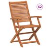 vidaXL Sillas plegables con reposabrazos, 2 unidades, madera maciza de acacia.