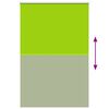 vidaXL Estor Enrollable Opaco hojas verde 165x210cm Tela Ancho 161,6cm