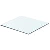 vidaXL Panel de estante vidrio claro 40x30 cm