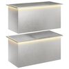 vidaXL Jardinera para jard&iacute;n con luces LED 2 uds. Plateado