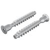 vidaXL Tornillos Confirmat 2 pcs Plateado &Oslash;7 x 50 mm Metal