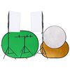 vidaXL Kit de estudio fotogr&aacute;fico con luces, fondo y reflector
