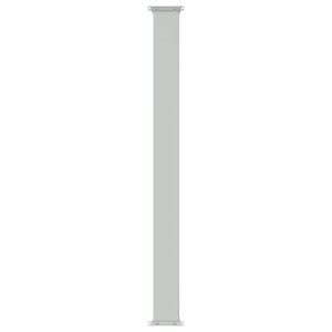 vidaXL Toldo lateral retr&aacute;ctil 300 x 100 cm Poli&eacute;ster Rectangular