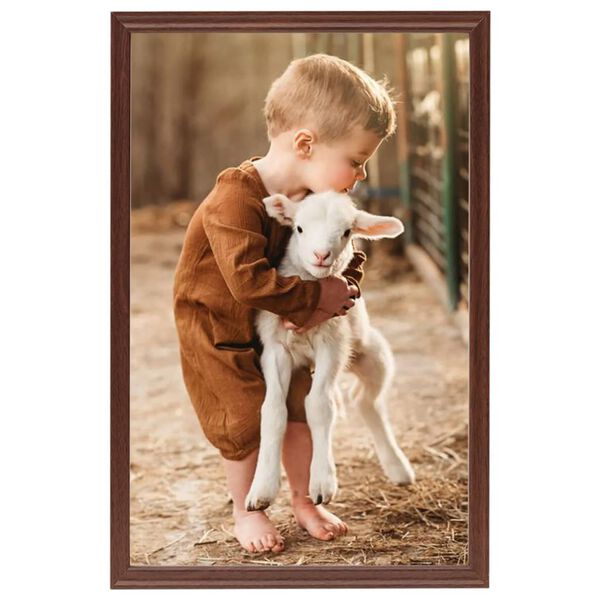 vidaXL Marcos de fotos collage de mesa 5 uds marr&oacute;n MDF 21x29,7cm