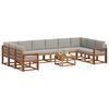 vidaXL Conjunto de sof&aacute;s de exterior 11 pcs Gris Natural y Claro