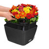 LECHUZA Jardinera BACINO Cottage ALL-IN-ONE negro grafito 30x30 cm