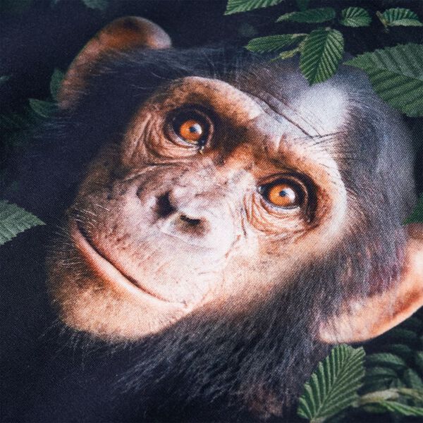 Sudadera infantil caqui oscuro 128