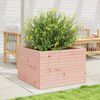 vidaXL Jardinera madera maciza de abeto Douglas 70x70x46 cm