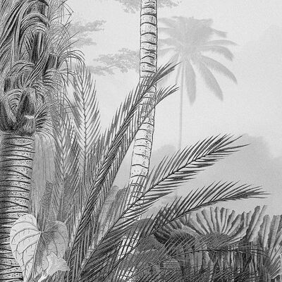 Komar Mural fotográfico Lac Tropical Black & White 200x270 cm