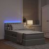 vidaXL Cama con almacenamiento y LED Gris Claro 90 x 190 cm tela