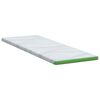 vidaXL Almohadillas para colchón Blanco y verde 70 x 200 cm