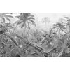 Komar Mural fotogr&aacute;fico Amazonia negro y blanco 400x250 cm