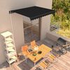 vidaXL Toldo retr&aacute;ctil manual gris antracita 350x250 cm