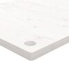 vidaXL Tablero de escritorio madera maciza pino blanco 110x60x2,5 cm