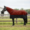 vidaXL Manta para Caballo Verde Oscuro y Negro 75 cm Poli&eacute;ster