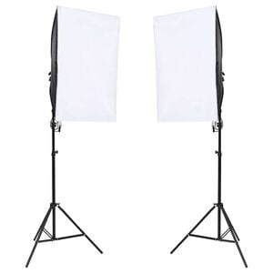 vidaXL L&aacute;mparas de estudio profesional 2 unidades 40x60 cm