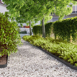 vidaXL Borde de C&eacute;sped 50 uds. 10 x 103 cm Acero laminado en fr&iacute;o