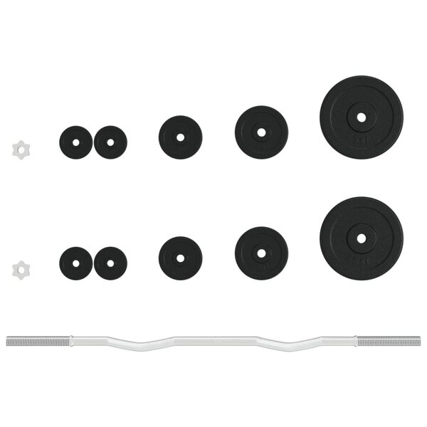 vidaXL Juego de barra con discos 30 kg hierro fundido y acero cromado