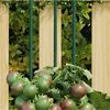 Imagen en miniatura del producto 2 de 5