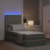 vidaXL Cama con almacenamiento y LED con LED Gris Claro 100 x 200 cm